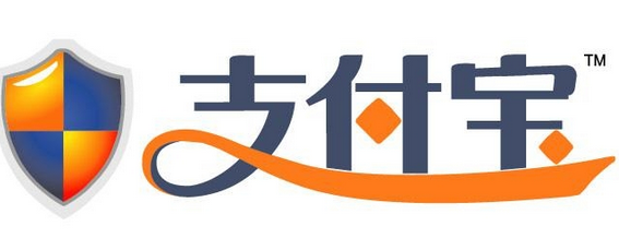收入支出明细表模板_支付宝收入和支出