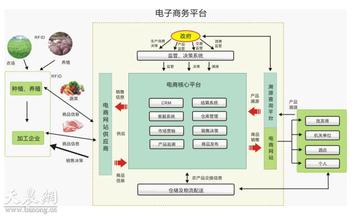 国际贸易电子商务平台建设与发展分析