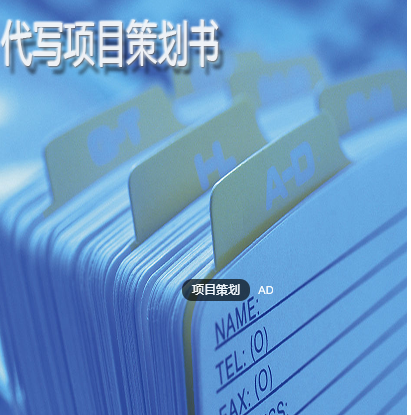 进行项目策划需要掌握的原则有哪些